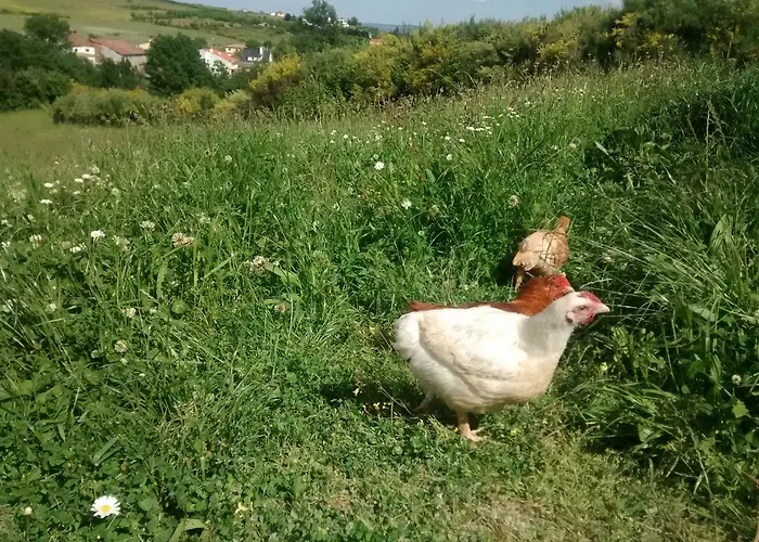 Casarao Dos Reis