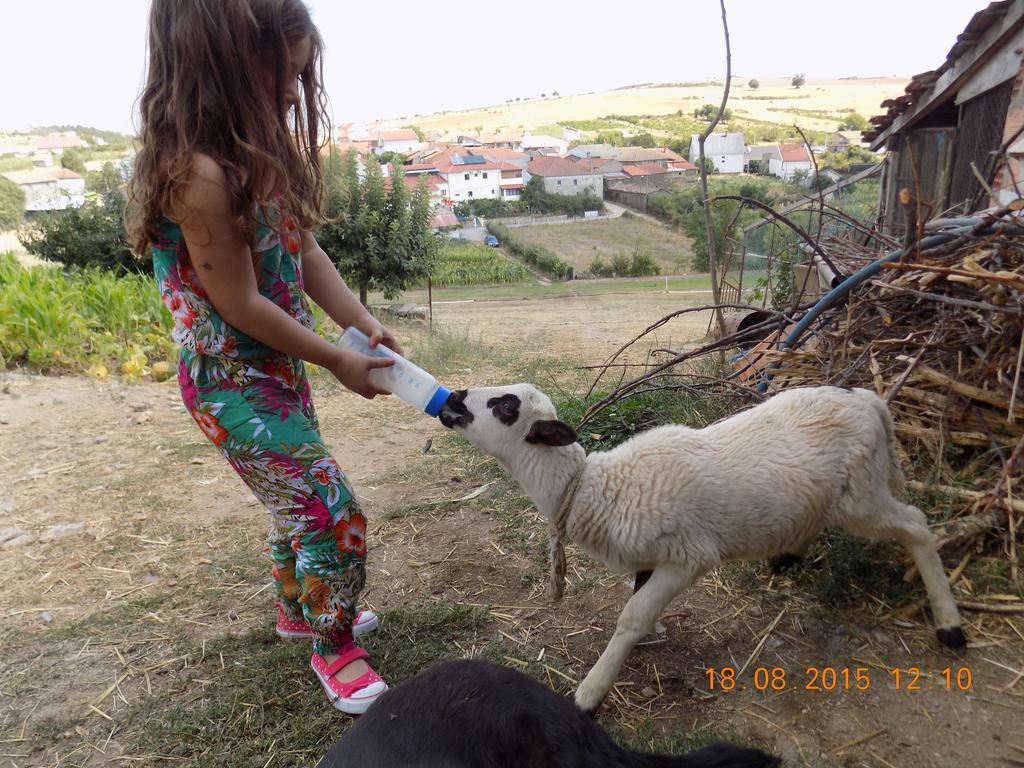 Vakantieboerderij Casarao Dos Reis *